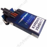 Sobranie Element Sapphire (Senator Winegrape Nano Power)