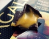 Dark Mango